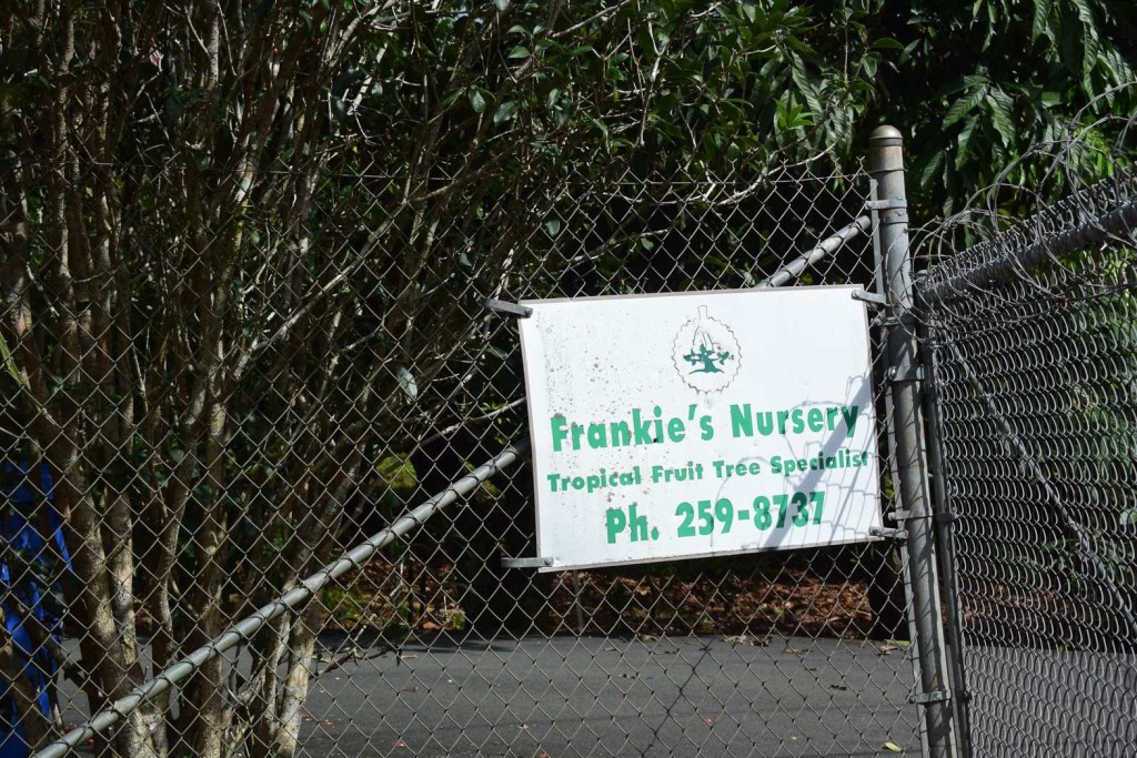 Frankie's Nursery