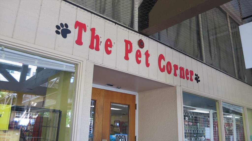 The Pet Corner